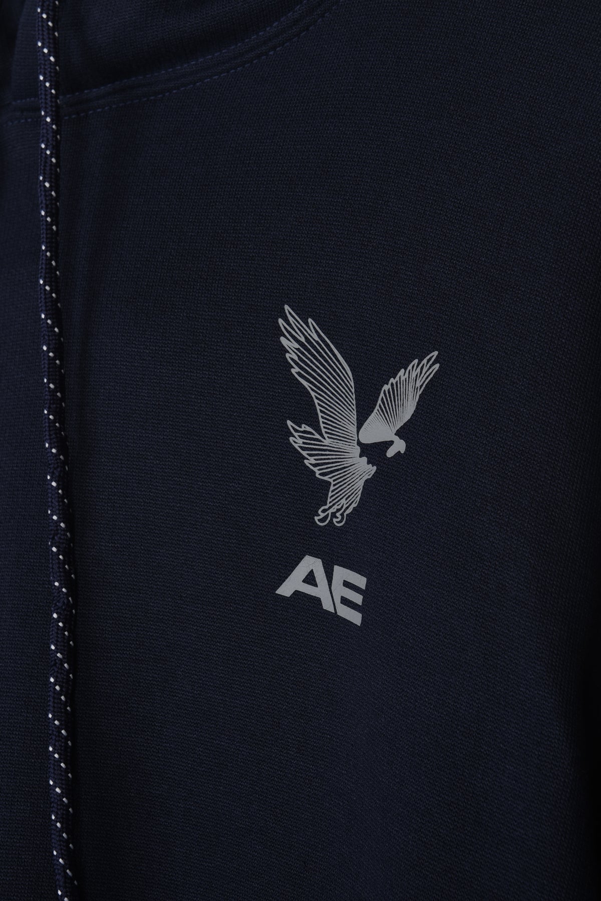 AMRICAN EAGLE PRINTED LOGO FLEECE HOODIE (NAVY)