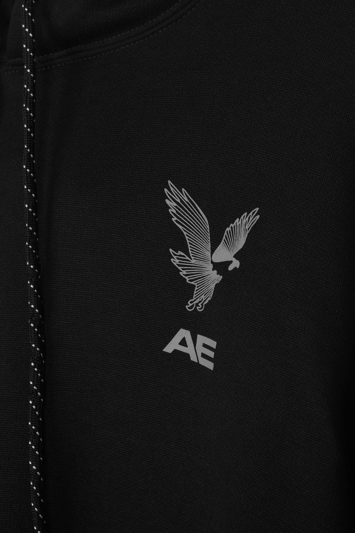 AMRICAN EAGLE PRINTED LOGO FLEECE HOODIE (BLACK)