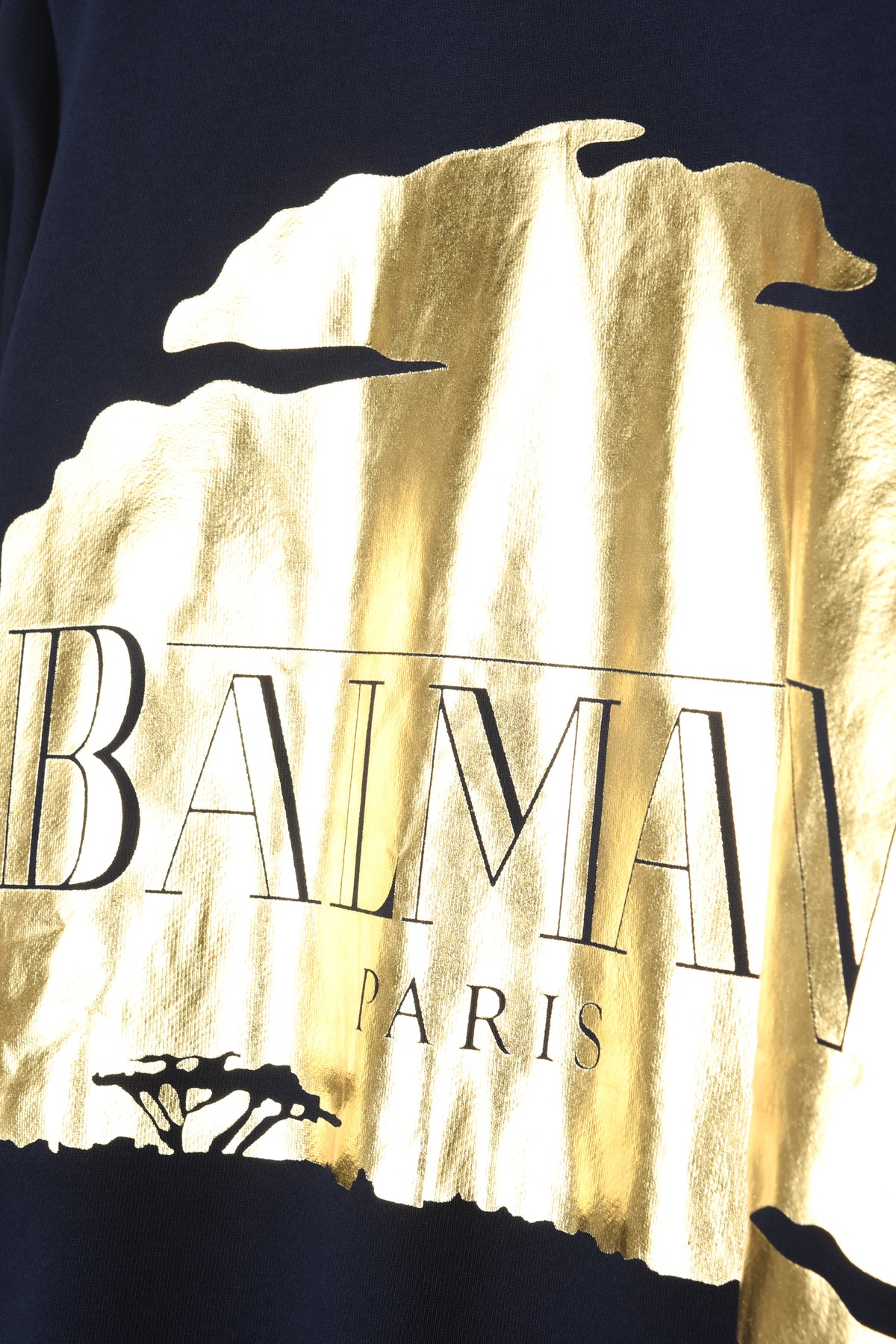BALMAIN: THE LION KING - SUNSET HOODIE (navy)