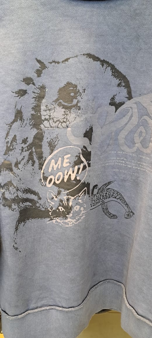 Printed Relaxed fit Sweatshirt