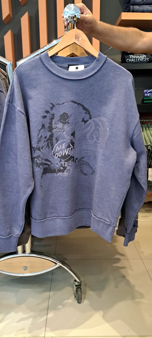 Printed Relaxed fit Sweatshirt